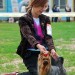 National Dog Show Moscow 24.06.12   CW,Best Female, CAC, Champion of RFLS &#9830;     -   () 